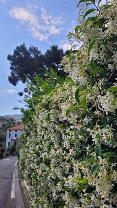 Ferienwohnung Vista Bella House Sanremo Exterior foto